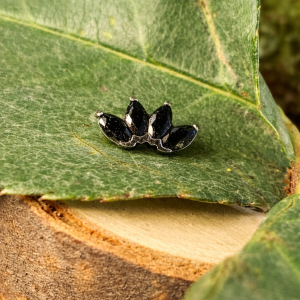 Embout Titane Dahlia 