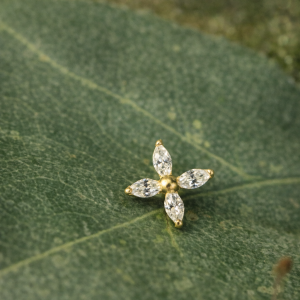 Embout de piercing Rhéa