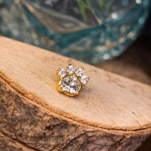 Embout Piercing Sphynx