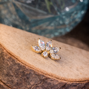 Embout Piercing Eden