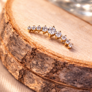 Embout Piercing Altaïr